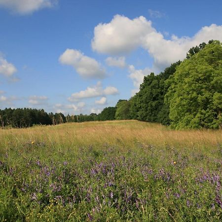 Mirabellenhof - Kleine Ferienwohnung Mit Altstadtblick Biesenthal Bagian luar foto