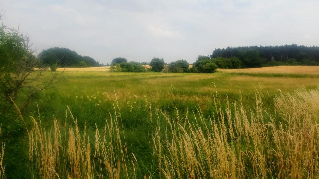 Mirabellenhof - Kleine Ferienwohnung Mit Altstadtblick Biesenthal Bagian luar foto